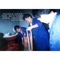 肝素鈉加工項目——助力農(nóng)村創(chuàng)業(yè)的投資良機(jī)