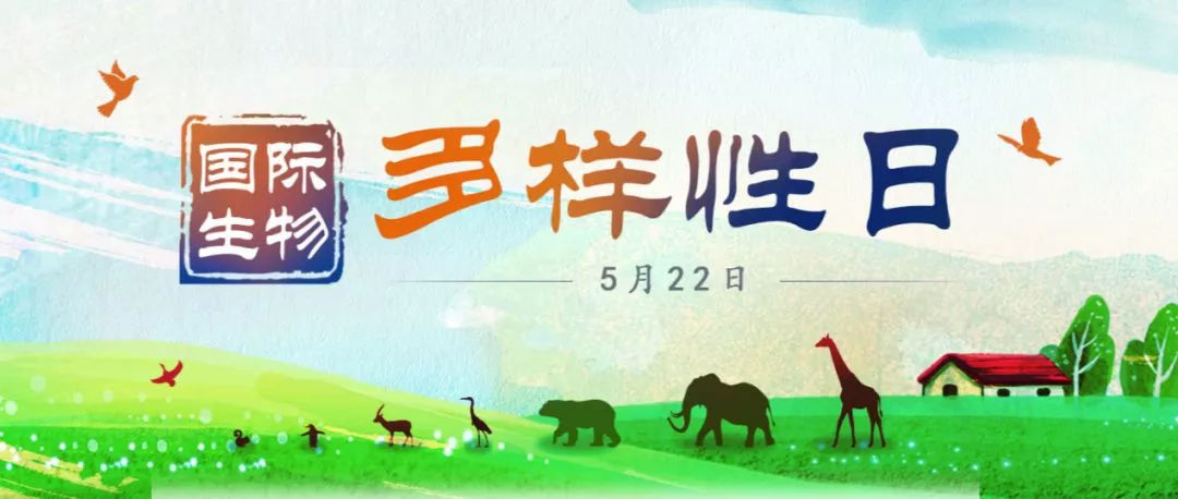 國際生物多樣性日 探尋啟東自然生靈的旅游魅力